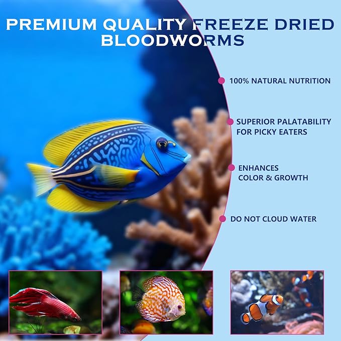 Freeze Dried Blood Worms Fish Food - High Protein Natural Aquatic Food for Tropical & Saltwater Fish, Betta, Goldfish, Cichlid, Guppy - Enhances Color & Growth 2.5 oz