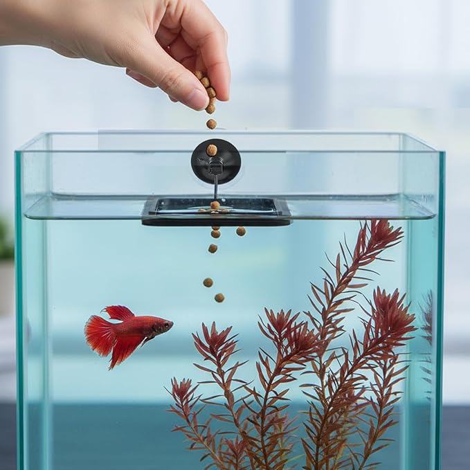 2Pcs Fish Feeding Ring for Aquarium, Aquarium Feeding Ring, Black Turtle Feeding Ring with Suction Cup, Square & Round Floating Food Feeder for Betta, Goldfish, Guppy, Turtle & Small Fish