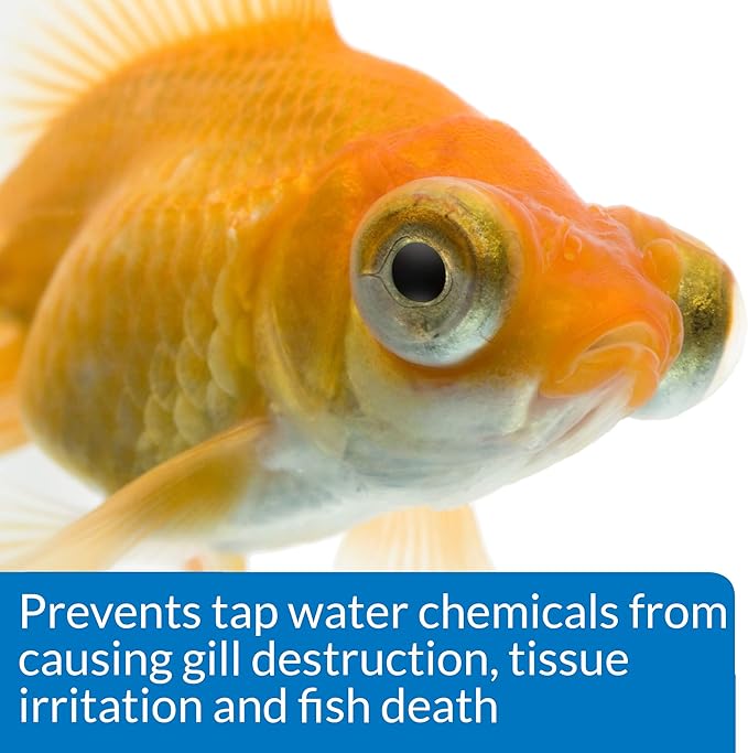 API GOLDFISH CARE PACK Aquarium Water Conditioner 1.25-Ounce Bottle