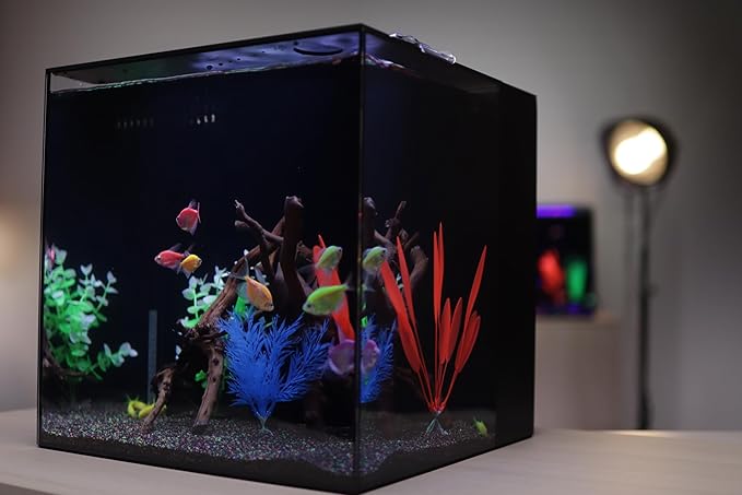 HelloReef 15 Gallon Glofish Complete Freshwater Aquarium Kit with App Controlled Smart LED Lighting, Filtration, Glofish Decor, and Guided Online Learning Center