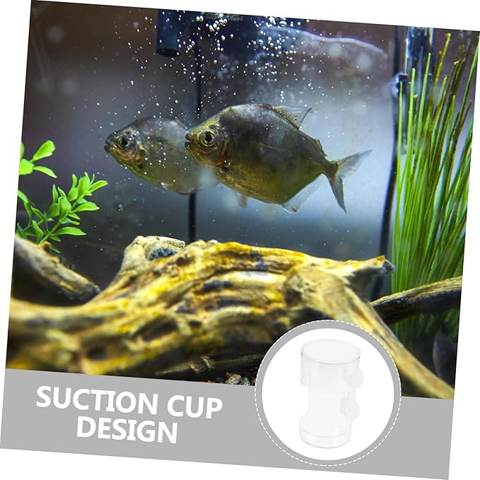 Fish Feeding for Aquariums Clear Floating Circle Cup Efficiently Distributes Food for Freshwater Tanks Fish Feeding Supplies