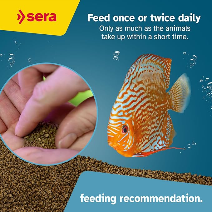 Sera Discus Color Gran 250ml (8,4 fl oz) | Premium Discus Fish Feed with Natural Astaxanthin & Spirulina | Boosts Color Naturally | No Artificial Additives | Soft Granules for Easy Digestion