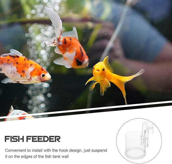 Aquarium Fish Feed Ring with Hook Acrylic Fish Tank Feeder Circle Large Size for Automatic Feeding in Home and Office