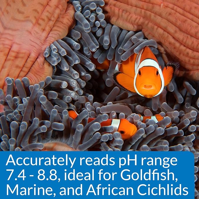 Api High Range Ph Test Kit For Fresh & Saltwater