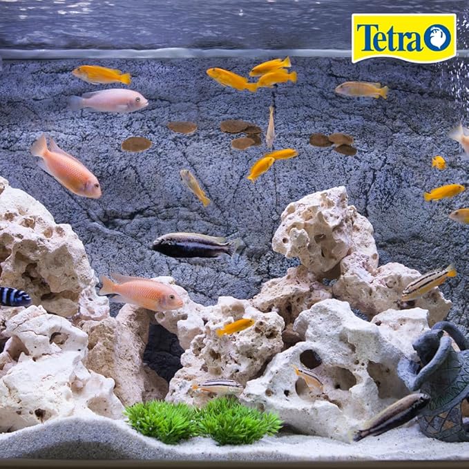 Tetra Cichlid Crisps, Nutritionally Balanced Fish Food for All Top and Mid-Water Cichlids, 8.82 oz