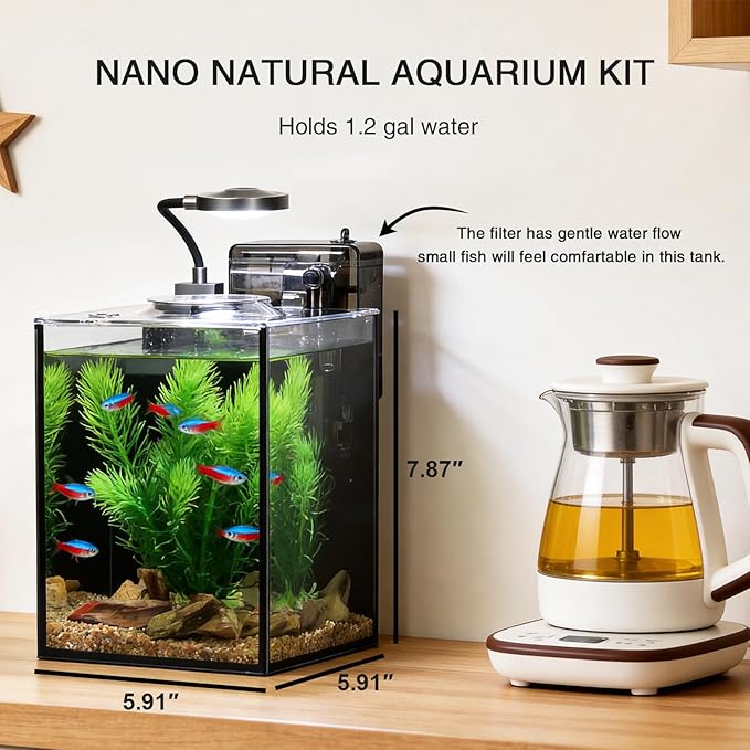 1.2 Gallon Betta Fish Tank, Small Aquarium Kit,Glass Small Fish Tank,Betta Fish Tank with a lid and Light and Filter, Small Transparent Glass Fish Tank with Light and Filter(Black Glass Background)