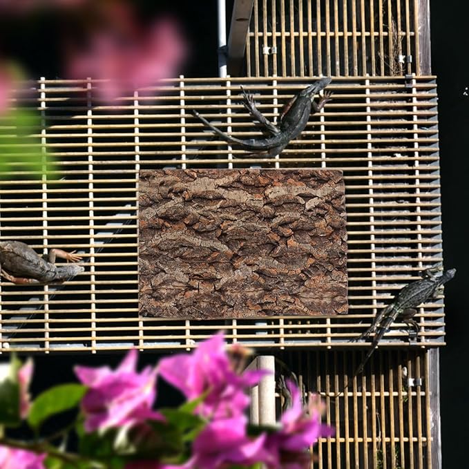 Zerodeko 2PCS Terrarium Cork Bark Background Board, Reptile Tank Tree Backdrop Wall Decor Habitat Climbing Mat Decoration for, Lizard, Turtle, Gecko, Bearded Dragon, Frog