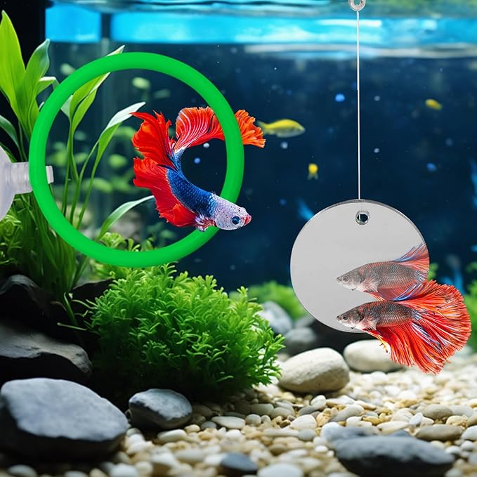 Beta Fish Aquariums Accessories, 1 Fish Mirror with Floating Ball & 2 Exercise Training Ring Toys, Fish Feeding Ring, Betta Fish Toys Set for Tank, Enrichment Toys for Fish