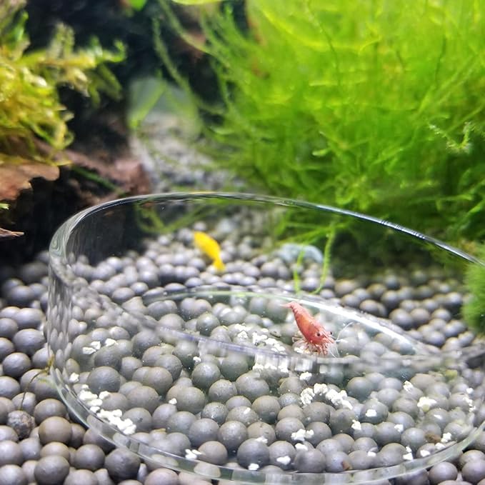 1PCS 60mm/65mm Aquarium Shrimp Feeding Dish, Glass Round Fish Feeder Bowl Reptiles Water Food Dish Clear Dishes Tray