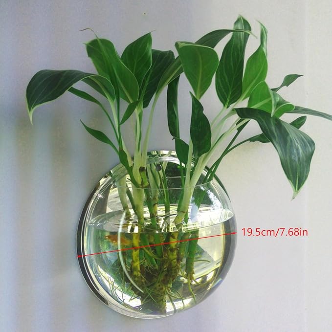 Wall Hanging Fish Bowl Acrylic Mounted Plant Pot Small for Tank Decoration Planter 5.9 Inch 7.7 10.2 Mounted Tank with Filter