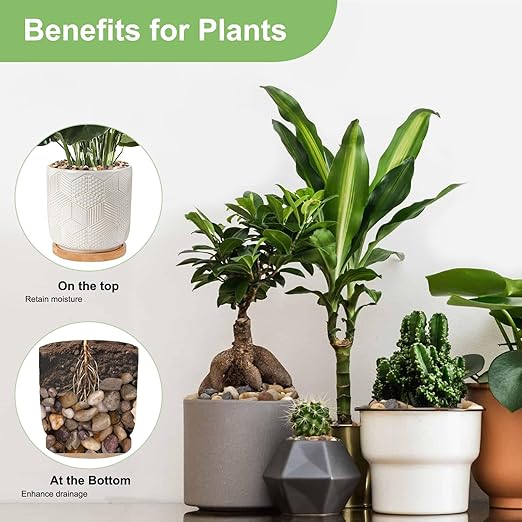 Pulovin 2.5 lbs Drainage Rocks for Potted Plants, 1/5 Inch Small Pebbles for Indoor Plants, Decorative Gravel for Vases, Bamboo, Succulent, Terrarium, Crafts, Cactus