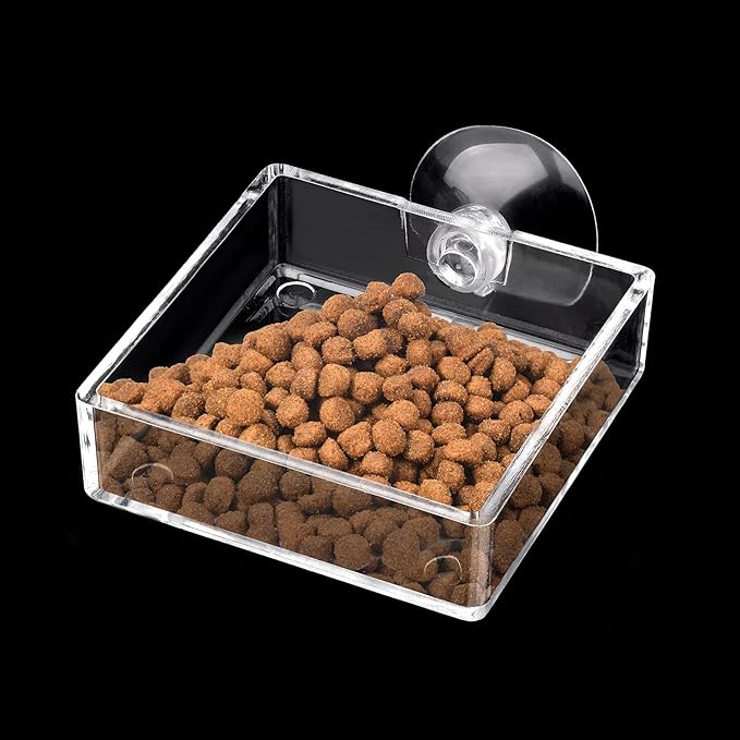 Shrimp Feeding Dish Square Fish Tank Feeding Bowl Clear Acrylic Aquarium Feeder Bowl with Suction Cup
