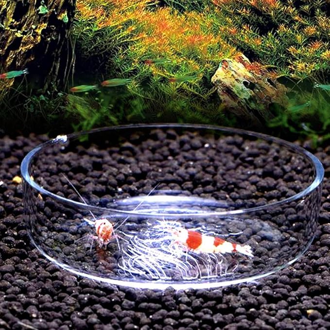 Acrylic Aquarium Shrimp Feeding Dish Bowl, Transparent Fish Food Container Feeder Tray Smaller Reptile Pets Feeder Dish