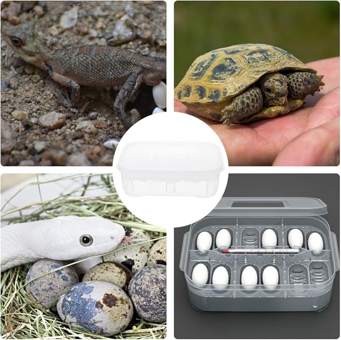 3pcs Box Container Hatching Reptile Lizards Lizard Breeding Snake for Tray Gecko Hatchery Feeding Hatcher Transparent Reptiles Eggs -Layer Grids Incubation Drawer Incubator