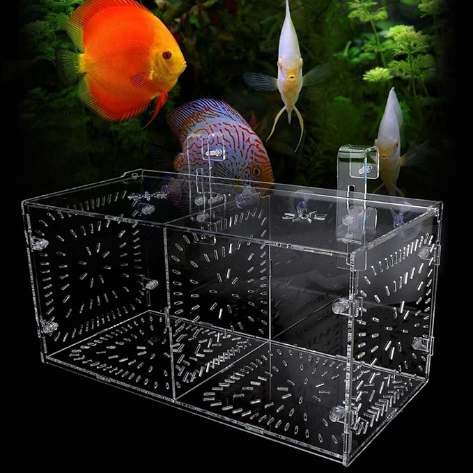 Aquarium Breeder Box for Fish Tank, Fish Breeding Box Tank Hatchery Incubator Aquarium Isolation Box for Seedlings Incubation(M)