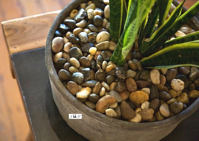 2 Pounds River Rock Stones - Natural Polished, Pebbles, Outdoor Decorative Stones, Natural Gravel, For Aquariums, Landscaping, Vase Fillers, Succulent, Tillandsia, Cactus pot, Terrarium Plants