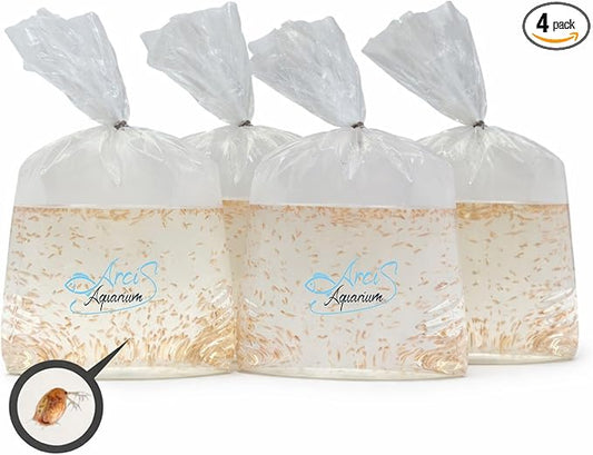 1000+ Live Daphnia Magna (4 Packs – 250 Each) | Premium Living Culture Feeder for Freshwater Fish, Fry, Shrimp, Axolotls & Aquatic Pets – Planktonic Crustacean, Water Fleas, Aquatic Live Food