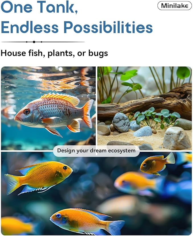 Glass Fish Tank Kit, 5 Gallon Betta Fish Tank Aquarium Starter Kit with Filter, Lights, Lid, for Betta, Goldfish, Small Fish or shrimg