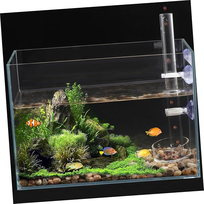 POPETPOP Shrimp and Dish with 2pcs Cups - Clear Acrylic Assembled Shrimp Feeder Tray for Fish Tank Aquarium Shrimp