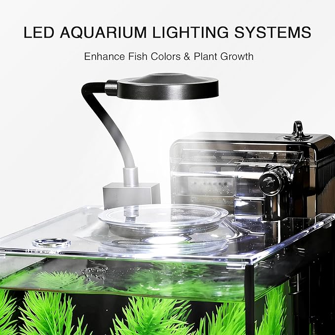 1.2 Gallon Betta Fish Tank, Small Aquarium Kit,Glass Small Fish Tank,Betta Fish Tank with a lid and Light and Filter, Small Transparent Glass Fish Tank with Light and Filter(Black Glass Background)