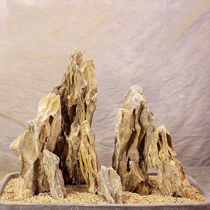 AWXZOM Natural Dragon Rock Carefully Selected Mixed Sizes, Decorative Aquarium Rocks, Aquarium Stones for Fish Tank (4.4lb)