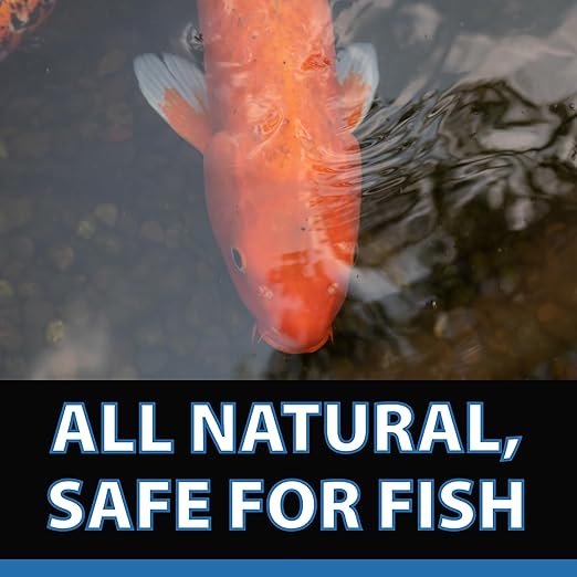 CrystalClear Knockout Plus All Natural Fish Treatment - 1 Gallon