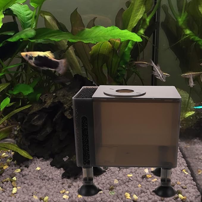 Ipetboom Protective Pump Container with Filter Box Wear-Resistant Household Pump Box Compact 5.90X5.51X3.54 Inch for Aquarium Pond Fountain Pumps