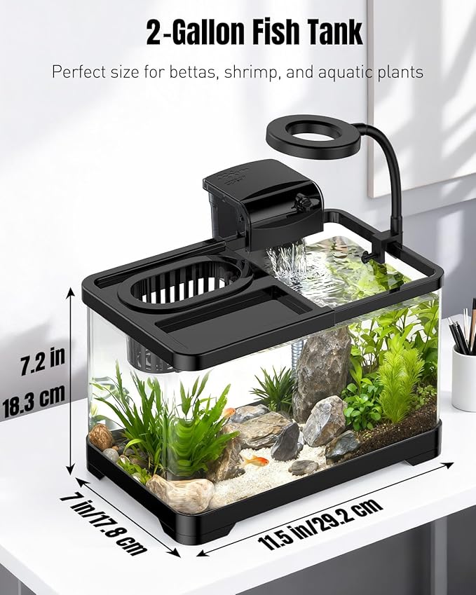 Pawfly 2 Gallon Fish Tank, Small Aquarium Kit, Betta Fish Tank Starter Kit with 6 W LED Light, 65 GPH Filter, Siphon Vacuum Water Changer & Basket, Aquarium for Betta, Shrim, or Small Fishes