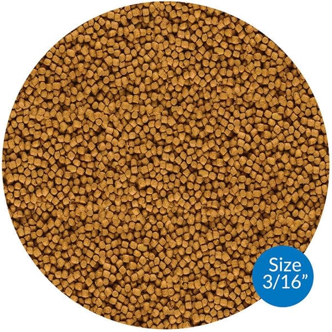 API POND COOL WATER FOOD Pond Fish Food 11-Ounce Container