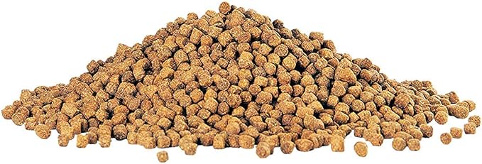 Aqueon Cichlid Medium Pellets [Set of 2] Size: 7.5 Ounce