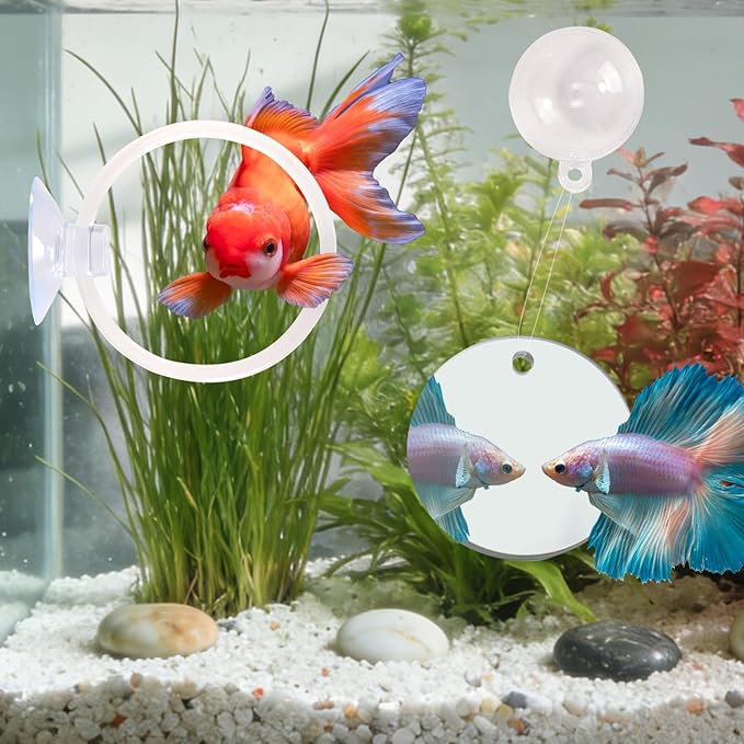 Betta Fish Toys, 2 PCS Fish Exercise Ring and Nitrifying Balls Set, Betta Mirror Toy Set, Feeding Ring with Suction Cup, Fishing Tank Accessories for Gifts (White)