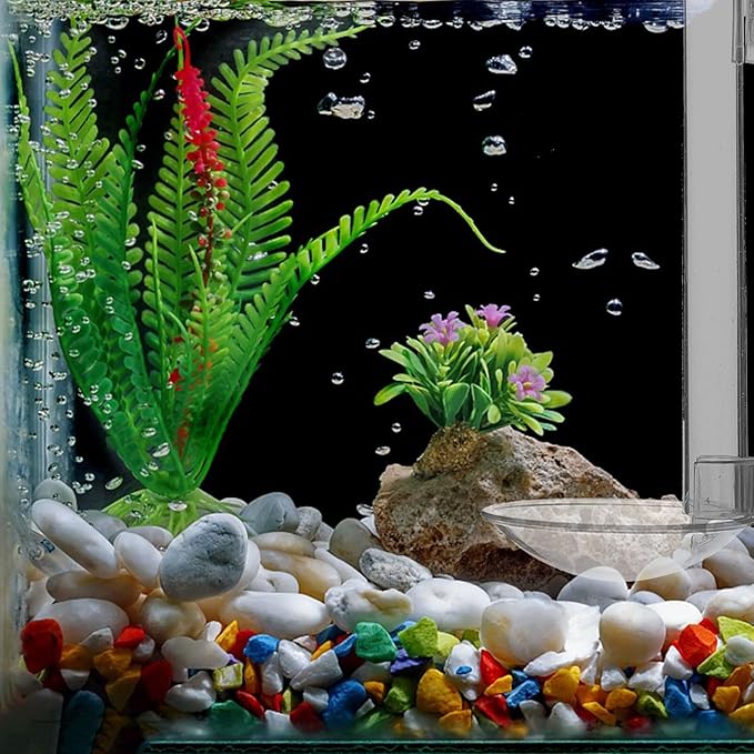 INOOMP Wall-Mounted Fish Feeder with Transparent Sinking Tube and Feeding Ring Easy Setup Aquarium Shrimp Feeder for Fish Tank 5.90 Inch