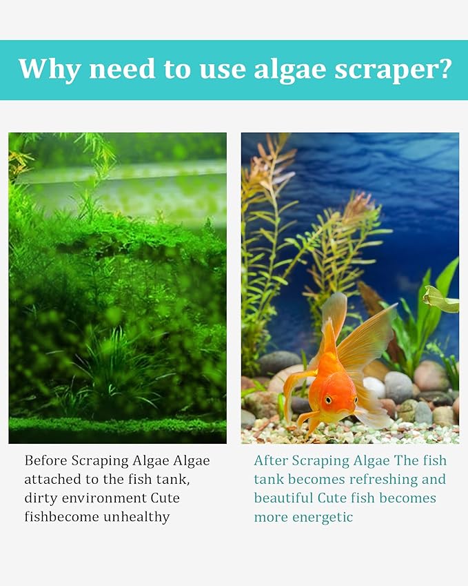 Stainless Steel Algae Scraper Aquarium Cleaning Tool for Glass Aquariums, Including Algae Scraper, Sponge Pad, Fish Net, Cleaning Brush, Adjustable Length, Durable, Does Not Hurt The Fish Tank