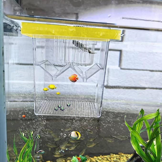 Aquarium Breeder Box – Fish Breeding Tank Box, Floating Fish Isolation Box With Suction Cups, Fish Egg Hatching Box For guppiess & Betta, Small Fish Breeder Tank, Fish Hatchery Box For Aquariums