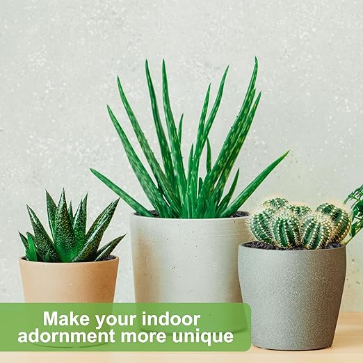 Pulovin 5 lbs Pebbles for Indoor Plants, Succulent, Cactus, 1/5 Inch Small Lava Rock for Plants Drainage, Natural Horticultural Volcanic Rock, Top-Dressing