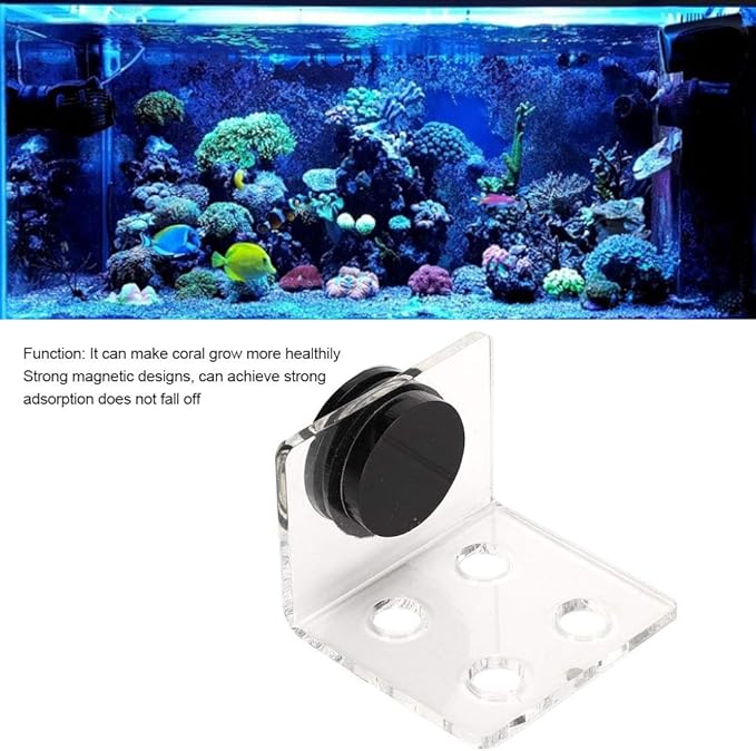 Fish Acrylic Bracket Base, Aquarium Rack Bracket Transparent Bracket Holder Frag Plugs Rack Suction Cup(4Holes)