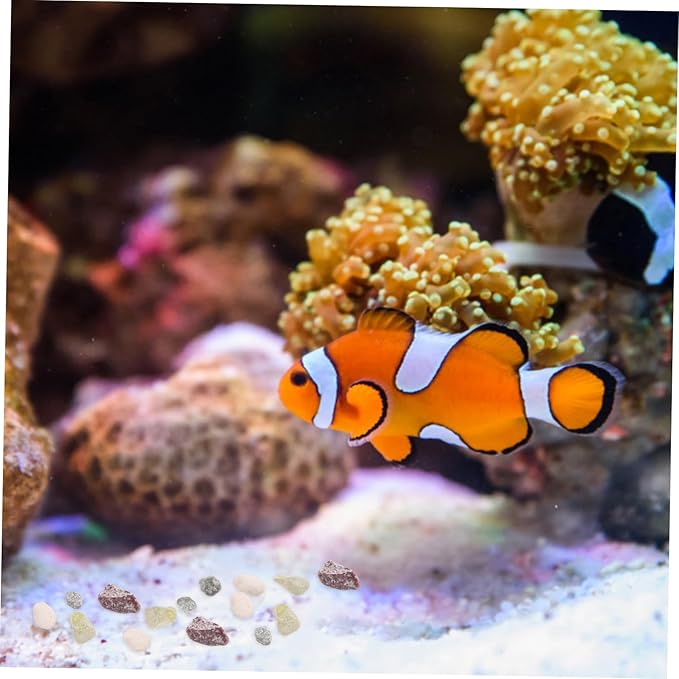 BESPORTBLE Quartz Sand Aquarium Stones Fish Tank Grit for Aquascaping Coarse Sand Stone for Decorative Bottom