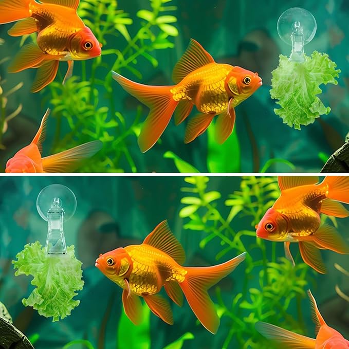 6 Pack Veggie Aquarium Seaweed Clips Fish Food Holder Wide Mouth Clips Plants Suction Cups Algae Clip for Freshwater and Marine Fish Tank (Mixed Clip)