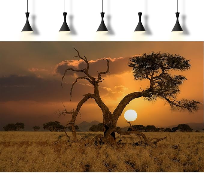 Sunset Desert Reptile Tank Background Beautiful Sunrise Desert Old Tree Terrarium Background Sand Peaks Dunes Sunset Over Desert Reptile Habitat Background Sunset Desert Aquarium Background 60x24in