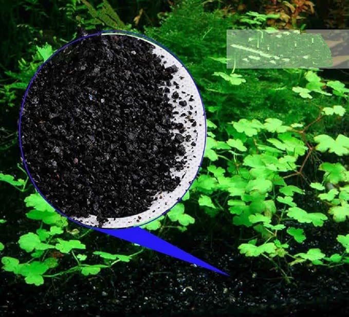 1 LB Gorgeous Aquarium Decoration - Aquarium Black Bottom Sand - Succulents Pavement