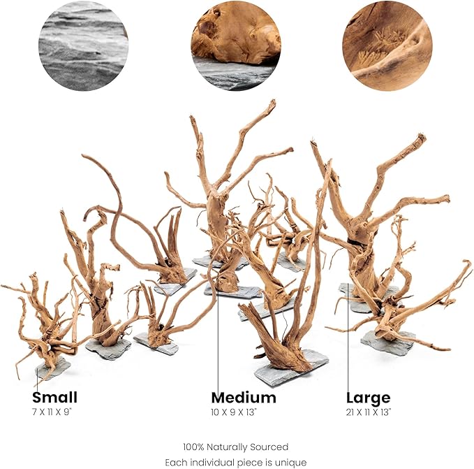 Ultum Nature Systems Driftwood - Spider Wood on Slate Stone for Fish Tank, Planted Tank, Terriarium, Paludarium - Versatile Natural Driftwood Decor - Spider Wood on Slate Stone, Small (7-12")