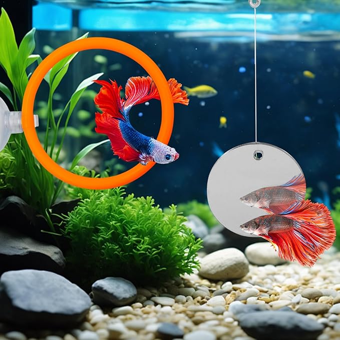 Beta Fish Aquariums Accessories, 1 Fish Mirror with Floating Ball & 2 Exercise Training Ring Toys, Fish Feeding Ring, Betta Fish Toys Set for Tank, Enrichment Toys for Fish