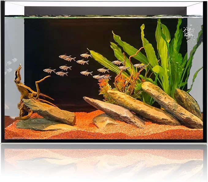 6 Gallon Glass Fish Tank 5 Gallon, Small Aquarium Fish Bowl Cube for Betta Goldfish Snails Shrimp Aquatic Planting, Easy to Maintain Ultra Clear Rimless Design Low Iron