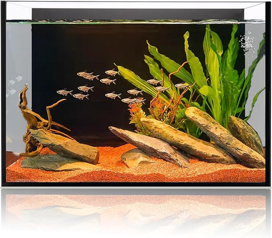 6 Gallon Glass Fish Tank 5 Gallon, Small Aquarium Fish Bowl Cube for Betta Goldfish Snails Shrimp Aquatic Planting, Easy to Maintain Ultra Clear Rimless Design Low Iron