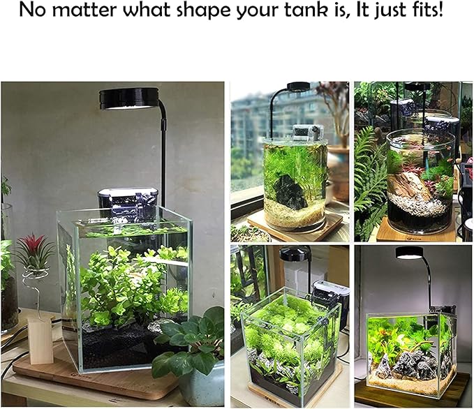 Height Adjustable Full Spectrum Nano LED Light, fits Nano Tanks, Wabi kusa, Potted Plants, Betta Tanks(9W)
