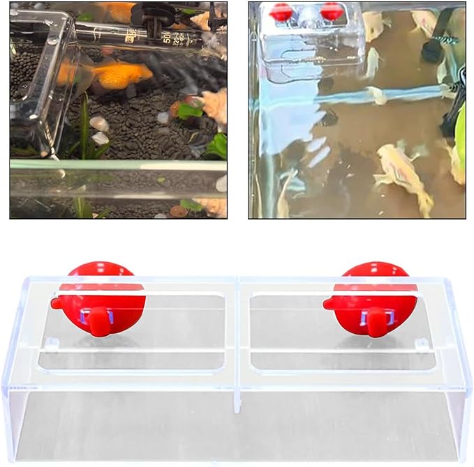 Fish Feeding Ring Float Food Tray Feeder Sturdy Gifts Fish Food Holder Versatile Turtles Aquatic Turtle Aquarium Accessories, L
