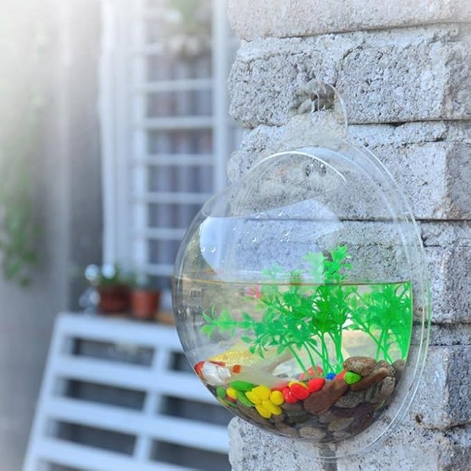 Wall Mounted Acrylic Fish Bowl