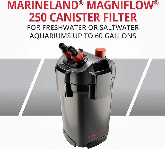Marineland Magniflow 250 Canister Filter, 1 Count, For Up to 60-Gallon Freshwater or Saltwater Aquariums, Includes Rite-Size S Filter Foam and Polishing Filter Pads, Premium Activated Carbon Bags