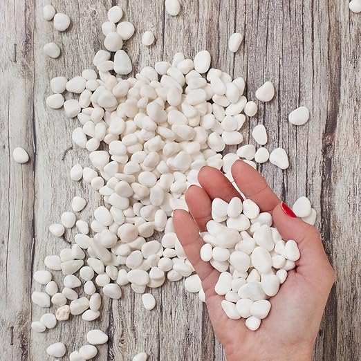 River Rocks Decorative Ornamental Vase Filler 0.5" - 0.75" White Aquarium Gravel 30 lbs - Landscaping Pebbles for Indoor Plants, Succulents, Terrarium & Home Decor, DIY & Crafting – Royal Imports