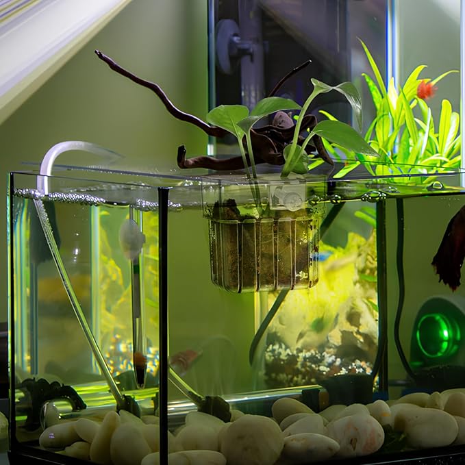 Kisangel 4Pcs Transparent Aquarium Plant Cups with Hooks 3.14X3.14X2.24In Fish Tank Plant Holders for Easy Installation and Healthy Root Growth in Aquatic Care